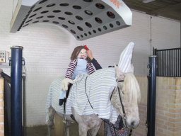 IMG_0624